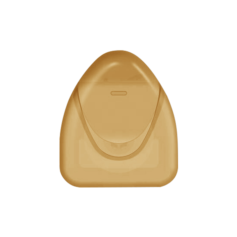 10M Sakura Flavor Voksning Nylon Mini Bullet Style Box-pakket tandtråd